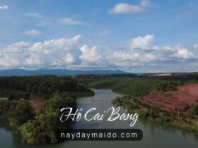 Hồ Cai Bảng Góc yên tĩnh ít người biết Video Flycam 4K