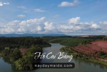 Hồ Cai Bảng Góc yên tĩnh ít người biết Video Flycam 4K