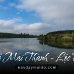 Hồ Mai Thành Không gian câu cá ở Bảo Lộc Video 4K