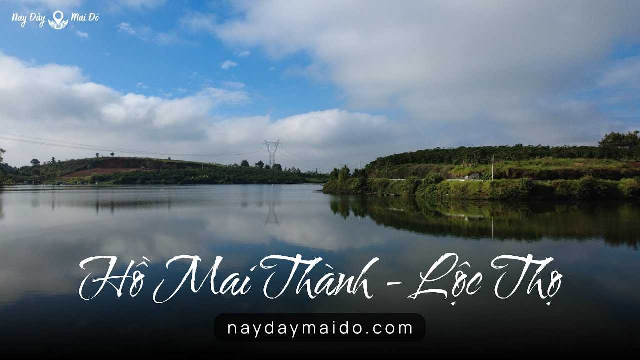 Hồ Mai Thành Không gian câu cá ở Bảo Lộc Video 4K