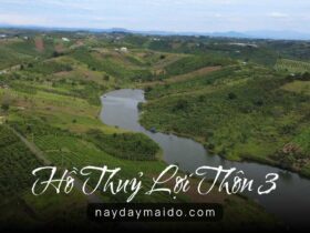 Hồ Thuỷ Lợi Thôn 3 Không gian yên tĩnh giữa cao nguyên Video Flycam 4K