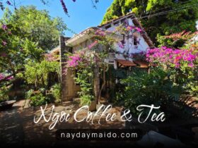 Ngói Coffee & Tea – Một khoảng yên hiếm hoi giữa lòng Bảo Lộc