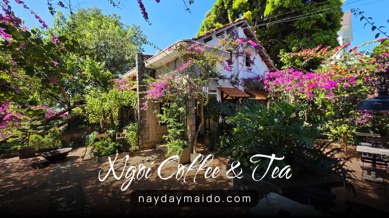 Ngói Coffee & Tea – Một khoảng yên hiếm hoi giữa lòng Bảo Lộc