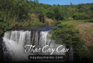 Thác Cây Cau – Một góc rừng yên tĩnh tại Bảo Lộc