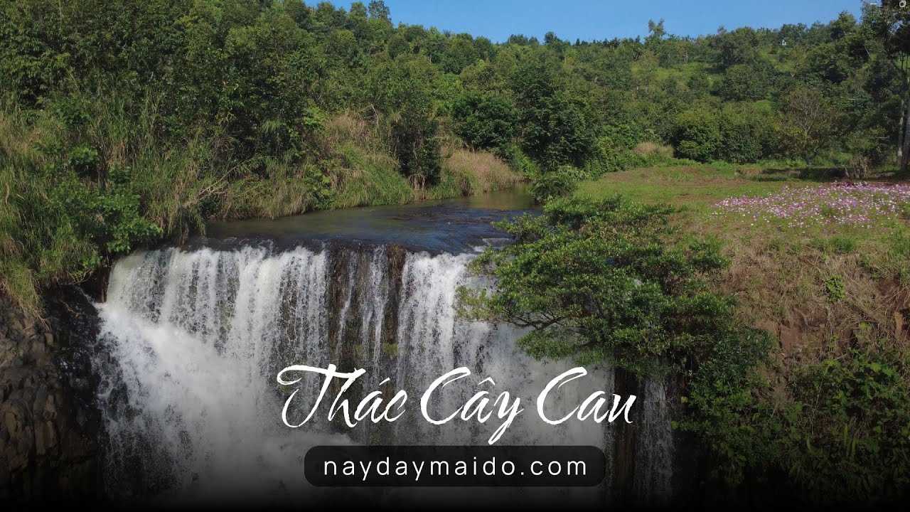 Thác Cây Cau – Một góc rừng yên tĩnh tại Bảo Lộc