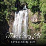 Thác Liêng Ài – Khoảnh Khắc Rừng Sáng Sớm Ở Bảo Lộc