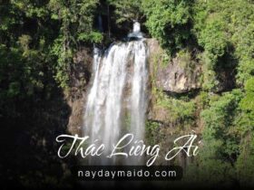 Thác Liêng Ài – Khoảnh Khắc Rừng Sáng Sớm Ở Bảo Lộc