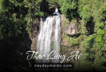 Thác Liêng Ài – Khoảnh Khắc Rừng Sáng Sớm Ở Bảo Lộc